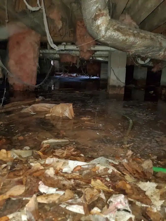Crawl space flood assessment for Leak Detection & Repair in Howard